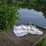 picnic on doc by pond