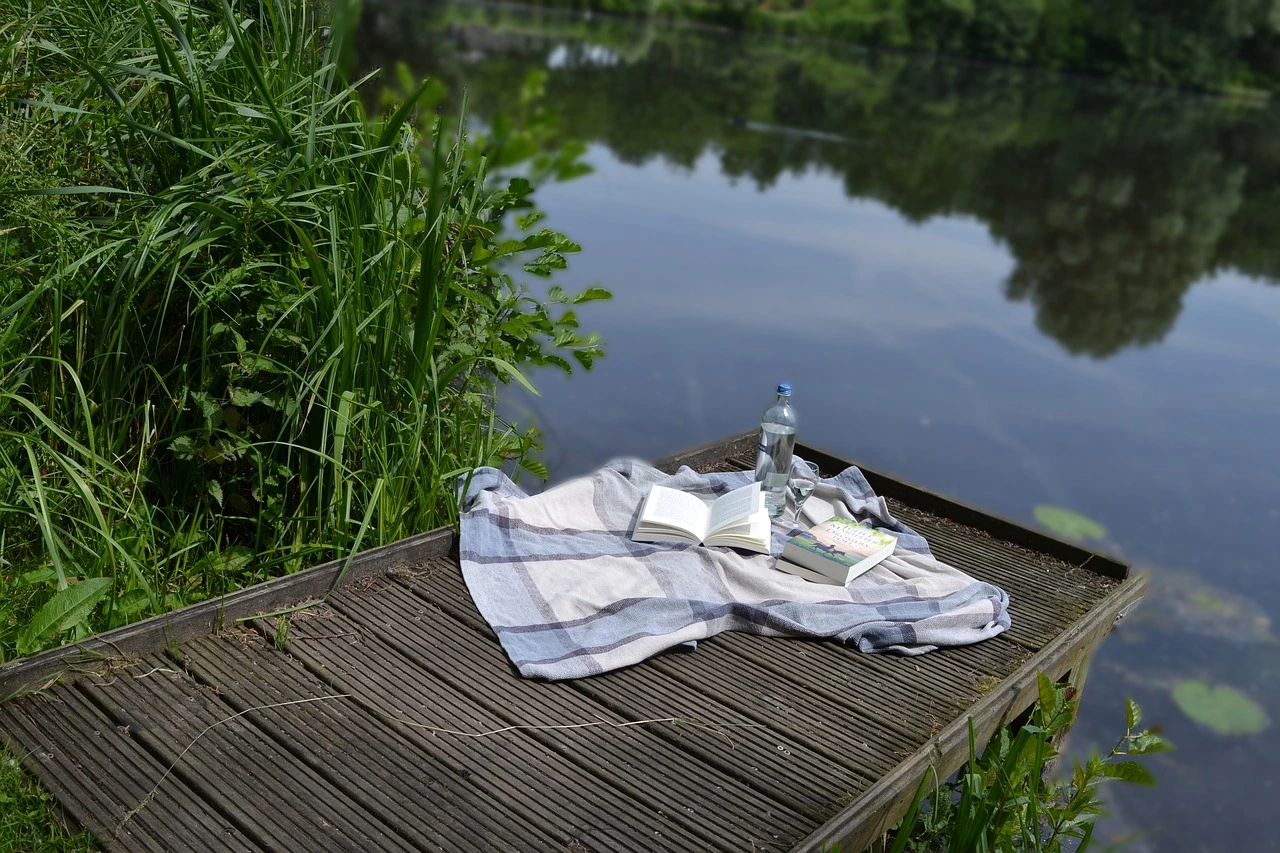 picnic on doc by pond